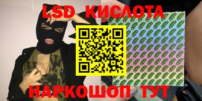 дживик Можга