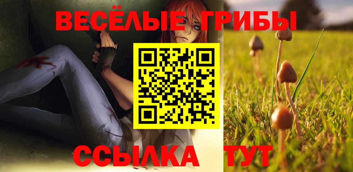Галлюциногенные грибы мицелий Ростов Великий
