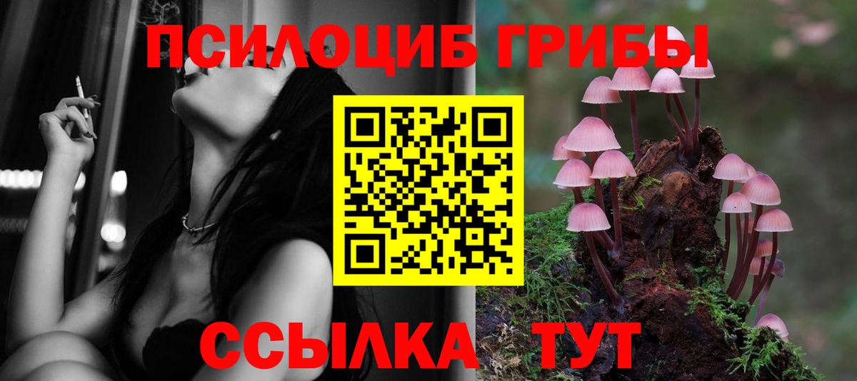 Ростов Великий  как найти закладки  Галлюциногенные грибы мицелий  Вход с VPN  Галлюциногенные грибы Magic Shrooms 